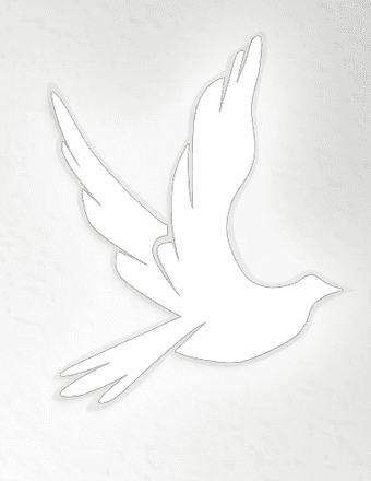 Renee (Wood) Roberts Obituary